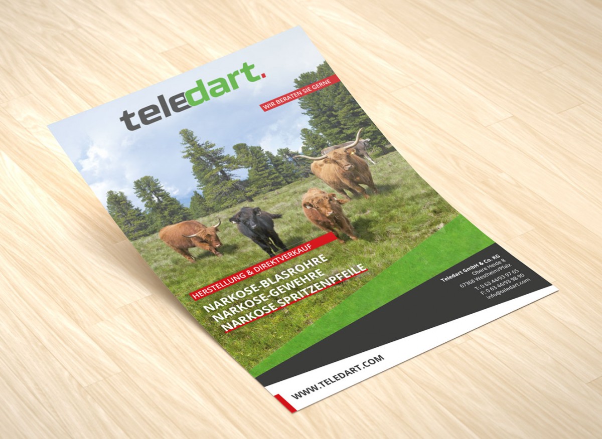 DIN A5 Anzeige für Teledart
