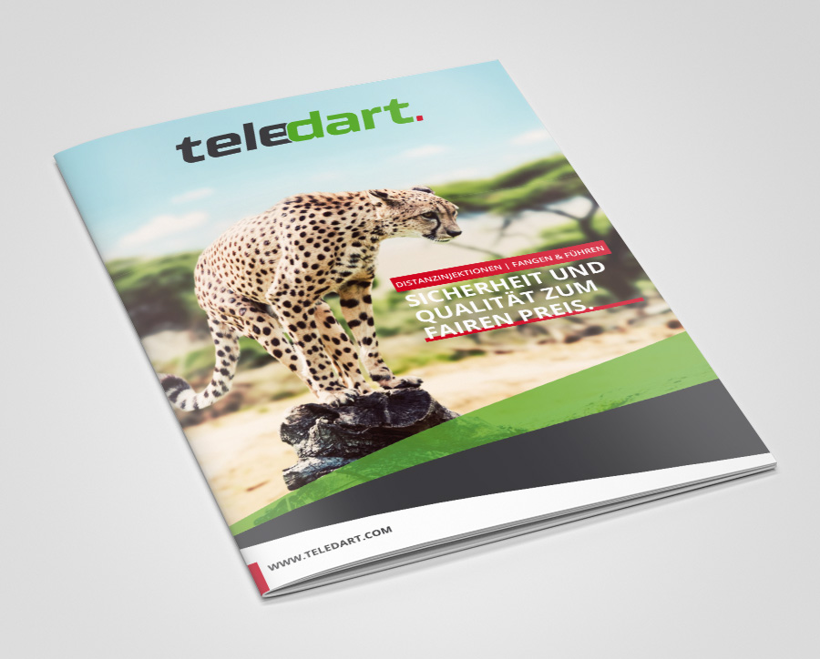 Teledart | teledart bro cover