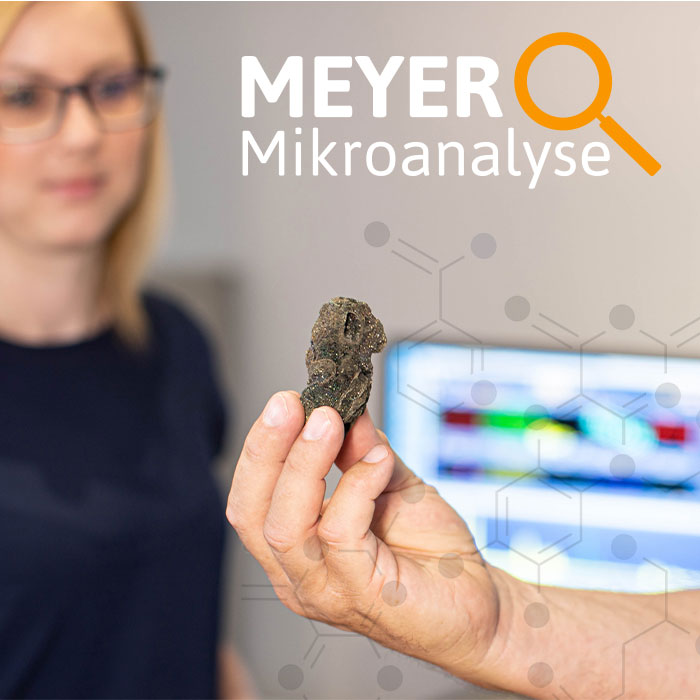 Referenz Mikroanalyse Meyer