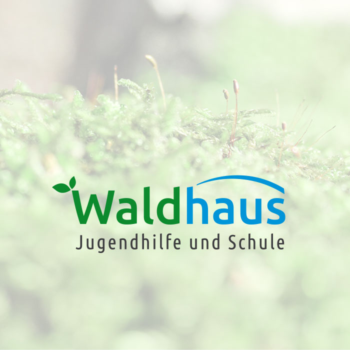 Referenz Waldhausschule Malsch